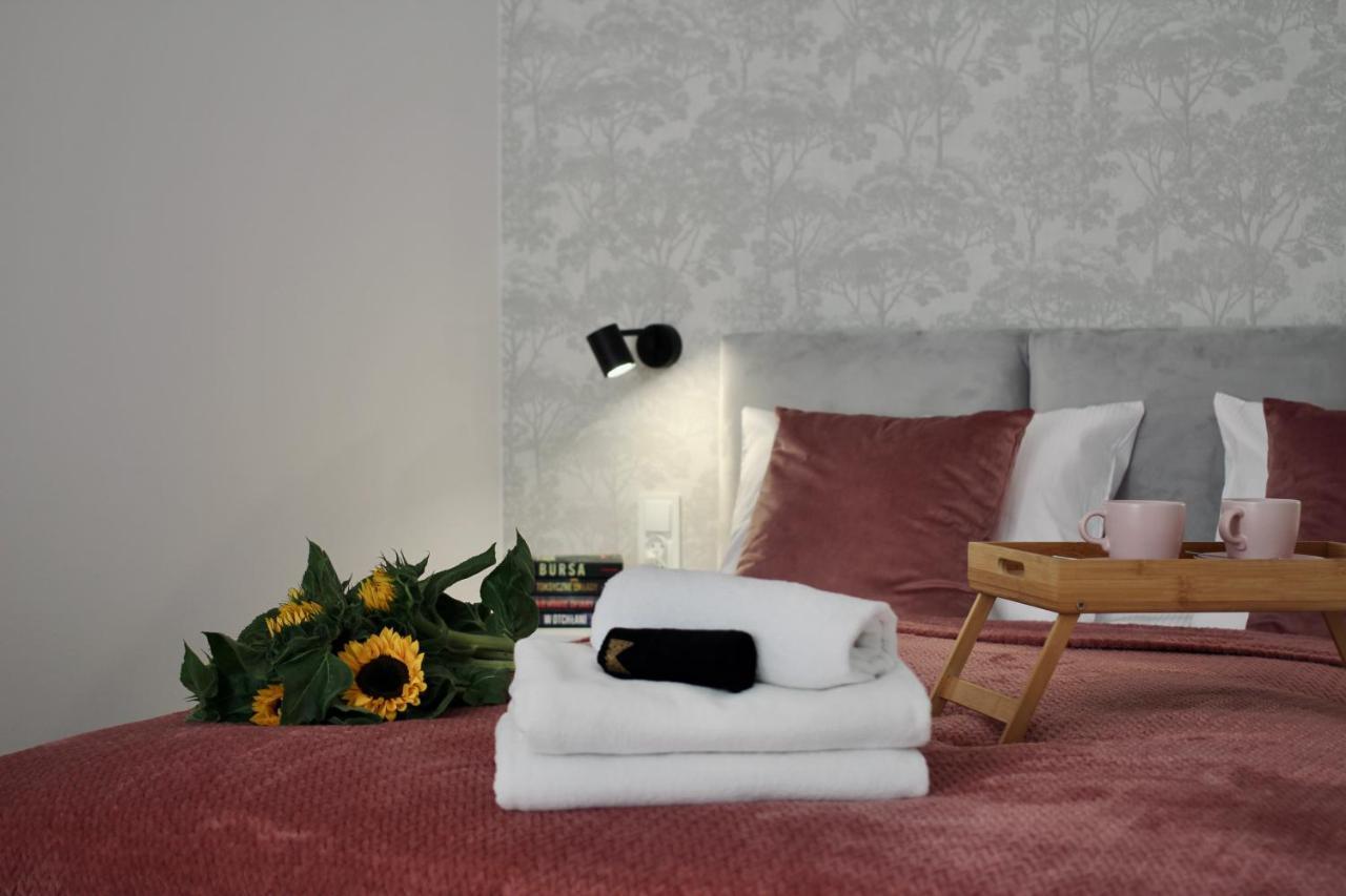 Luna Apartments イェレニャ・グーラ エクステリア 写真